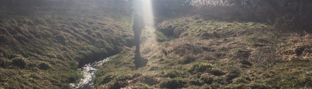 Sasquatch Contact in the City