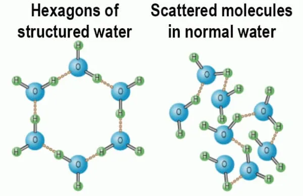 Water