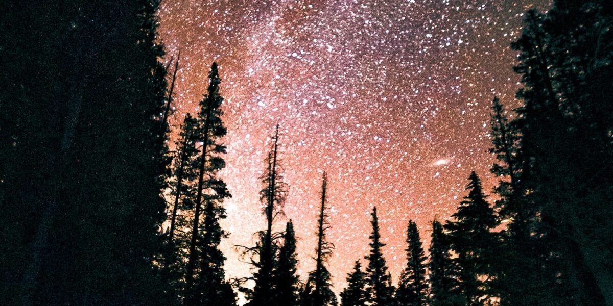 An Astral Projection to Three Realities