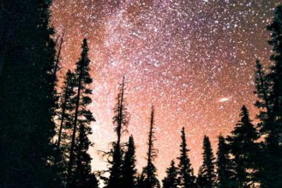 An Astral Projection to Three Realities