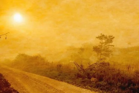 Guidance In Nature