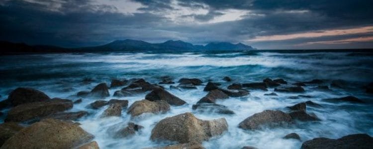 Surviving the Storm
