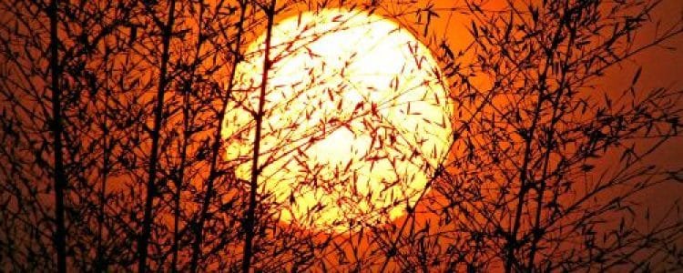 The Deity Is Not Up For Discussion – Chapter Eight