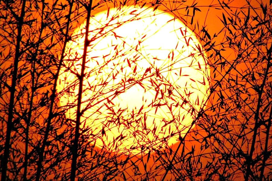 The Deity Is Not Up For Discussion – Chapter Eight