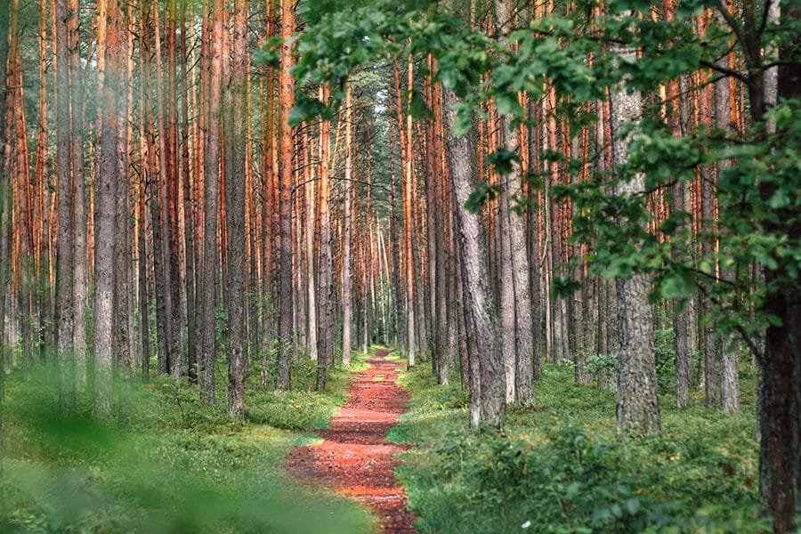 Knowing Without Doubt