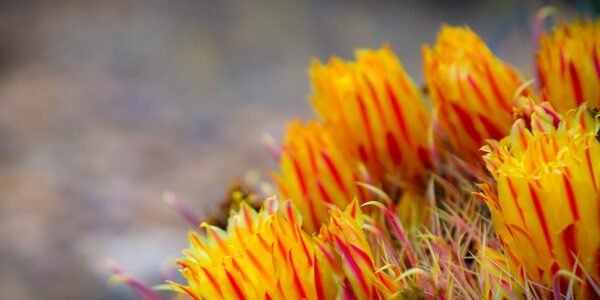 Your Guidance May Save Someone’s Life Your Guidance May Save Someone’s Life