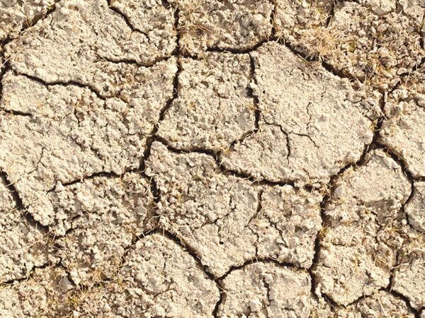 Dry Spells and Patience Dry Spells and Patience