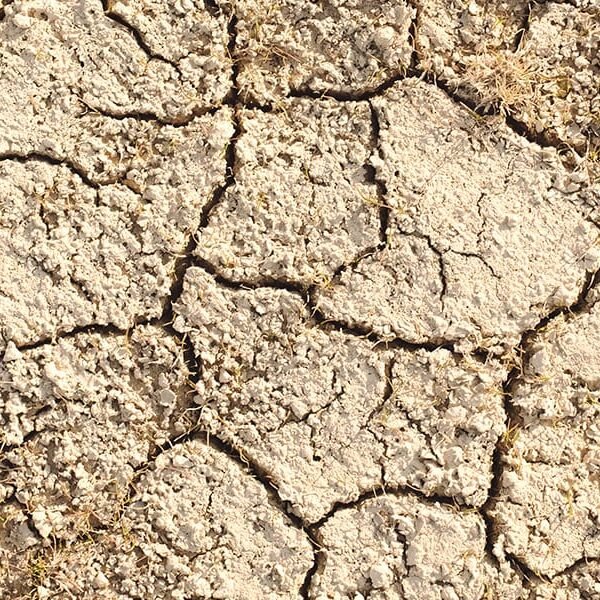 Dry Spells and Patience