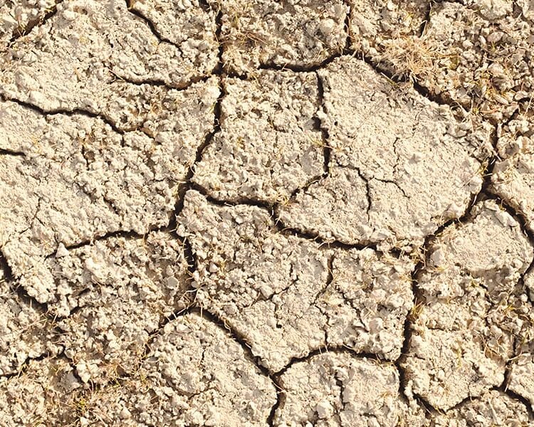 Dry Spells and Patience