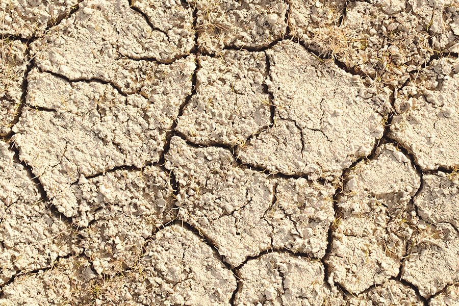 Dry Spells and Patience Dry Spells and Patience