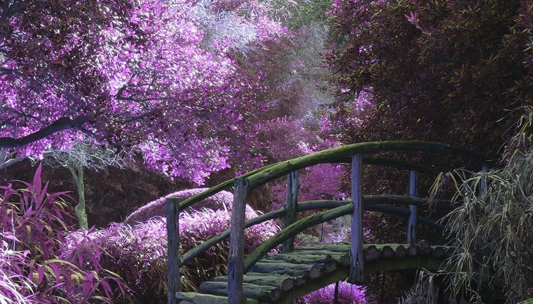 Surviving the Fairy Tale