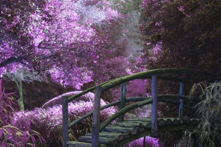 Surviving the Fairy Tale