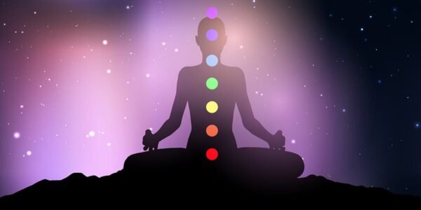 Daily Check-In Daily Check-In