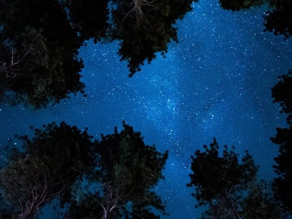 Citizens of the Soul