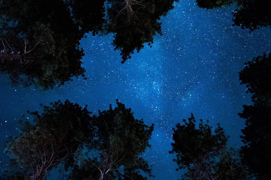 Citizens of the Soul