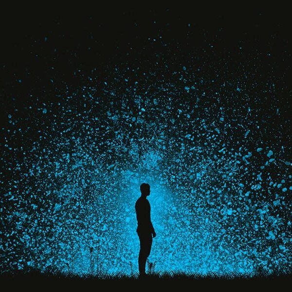 Why the F**K are we here? Understanding the Meaning of Life…