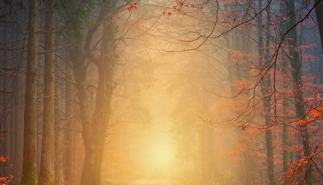 The Subtle Traps Of Spiritual Pride