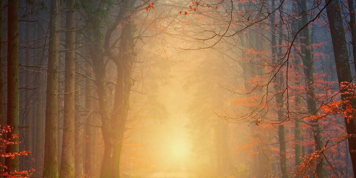 The Subtle Traps Of Spiritual Pride