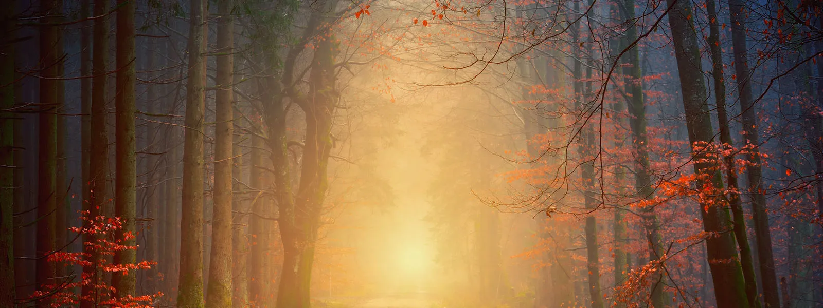 The Subtle Traps Of Spiritual Pride
