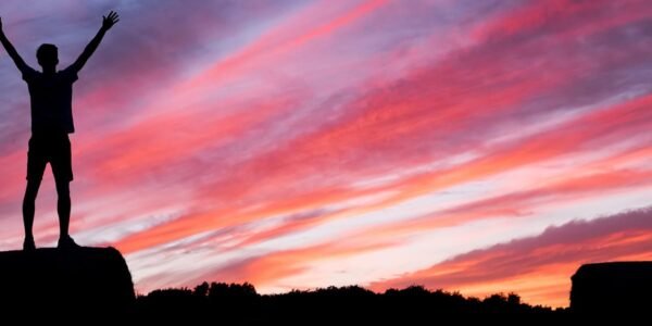 Higher Self and Soul Probes Higher Self and Soul Probes