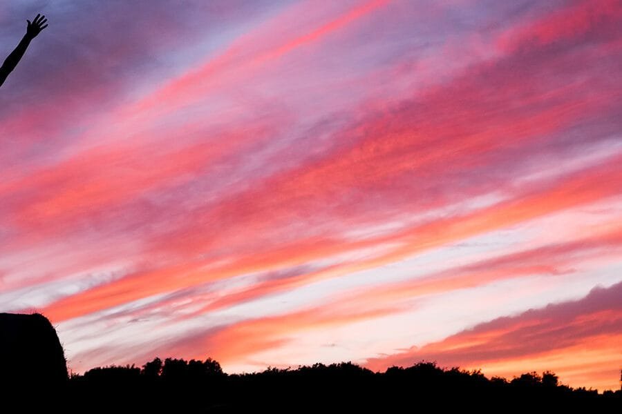 Higher Self and Soul Probes