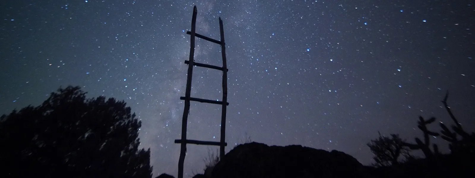 The Ladder, The Elevator
