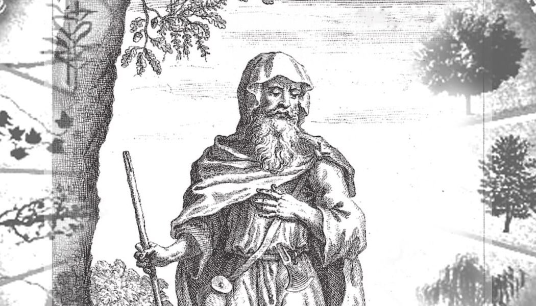 The Knowledge of the Druids