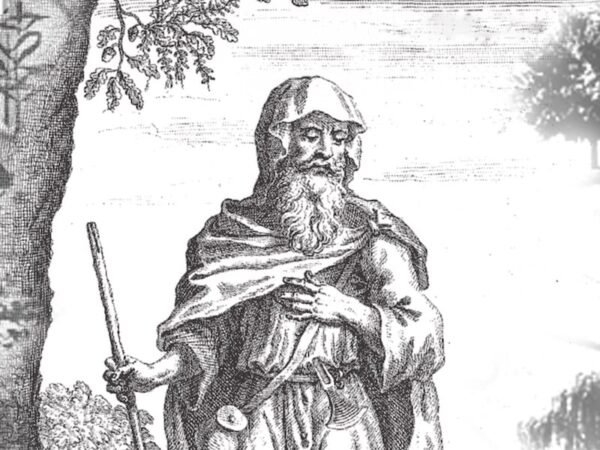 The Knowledge of the Druids The Knowledge of the Druids