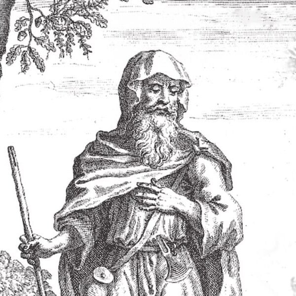 The Knowledge of the Druids