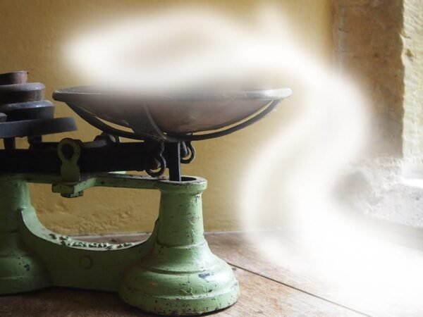 The Weight of the Human Soul The Weight of the Human Soul