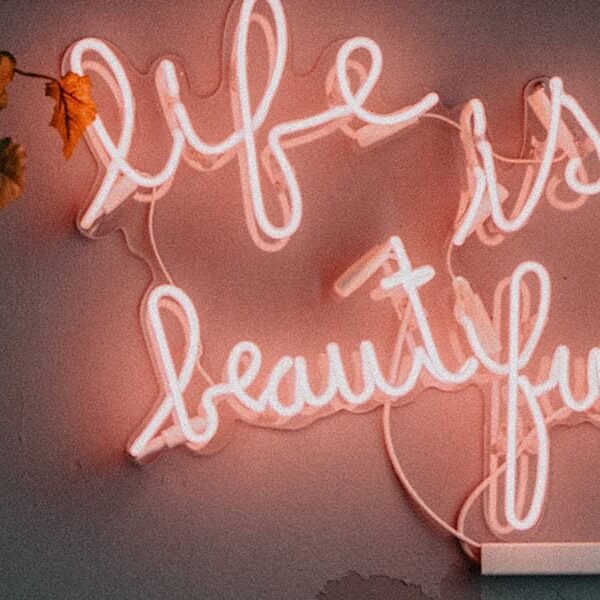 A Day in My Beautiful, Yet Crazy Life