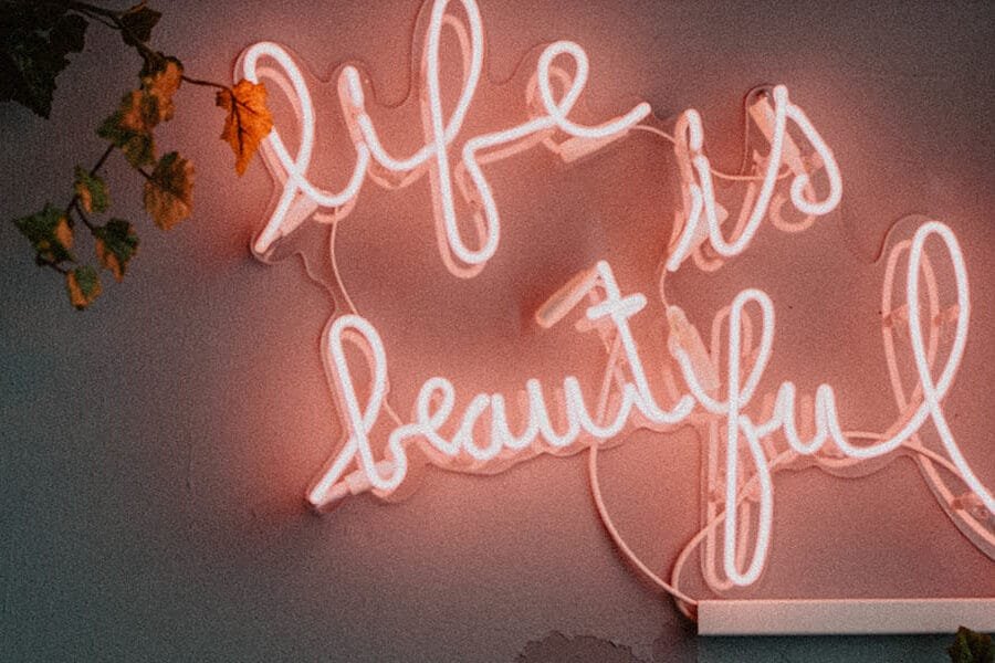 A Day in My Beautiful, Yet Crazy Life