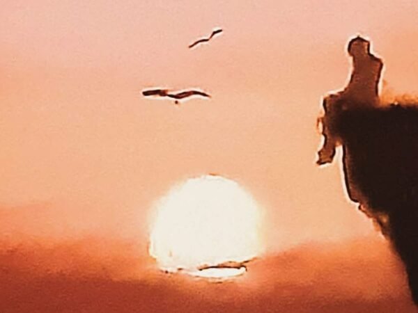 Stars of Clay: Episode Three