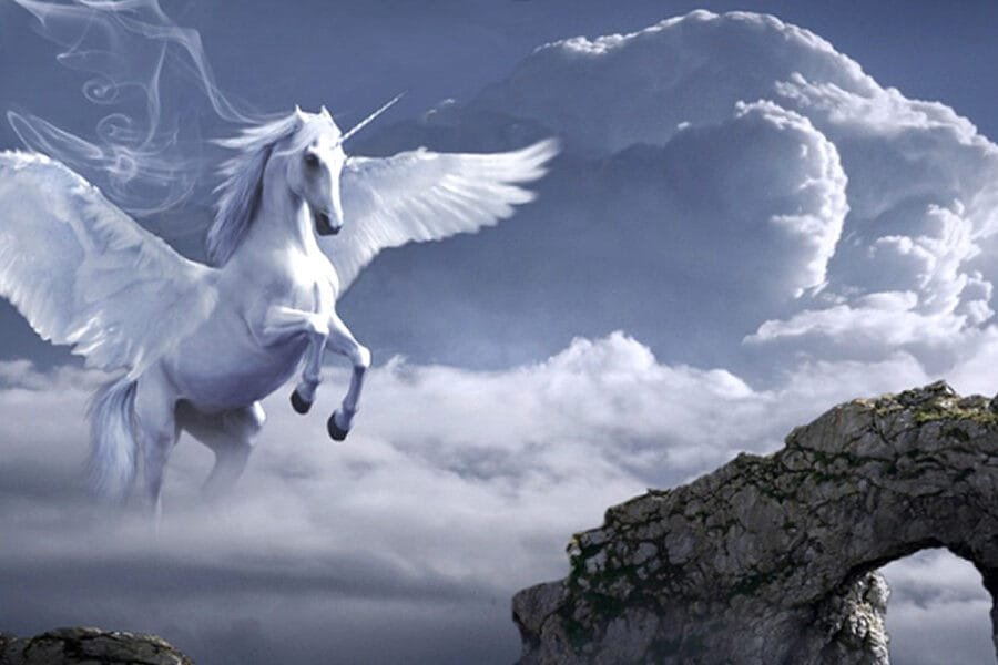 What’s Real? What’s Real?