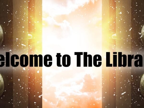 The Library The Library