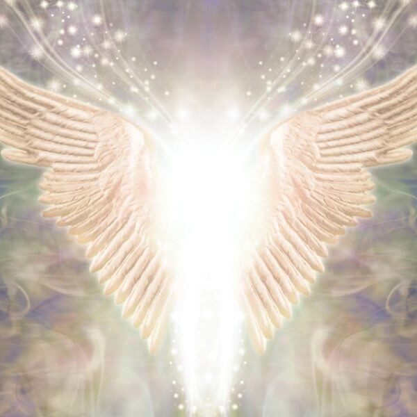 My First Two Angels