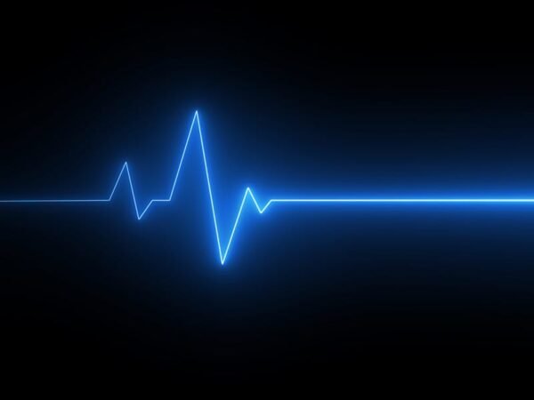 My Husband Had Me Murdered My Husband Had Me Murdered