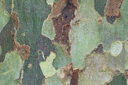 Visions and Prophecies of the Future: The Dark Days Visions and Prophecies of the Future: The Dark Days