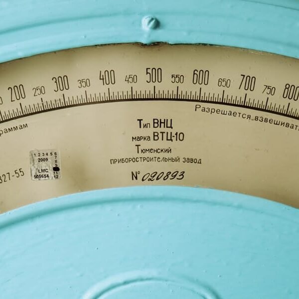 America: Here’s Why You Are Fat