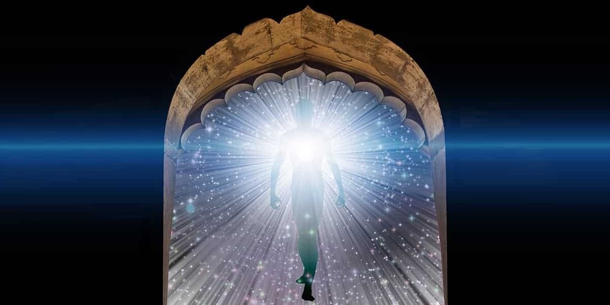 Immortality Unleashed