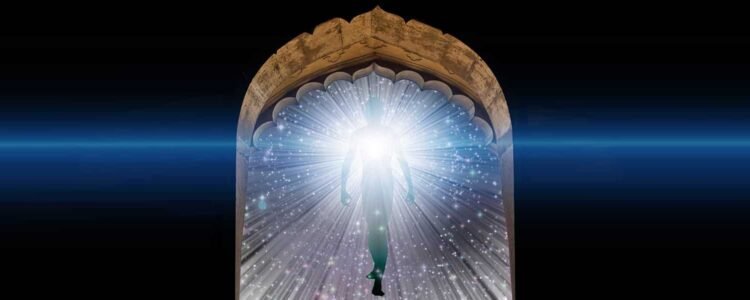 Immortality Unleashed
