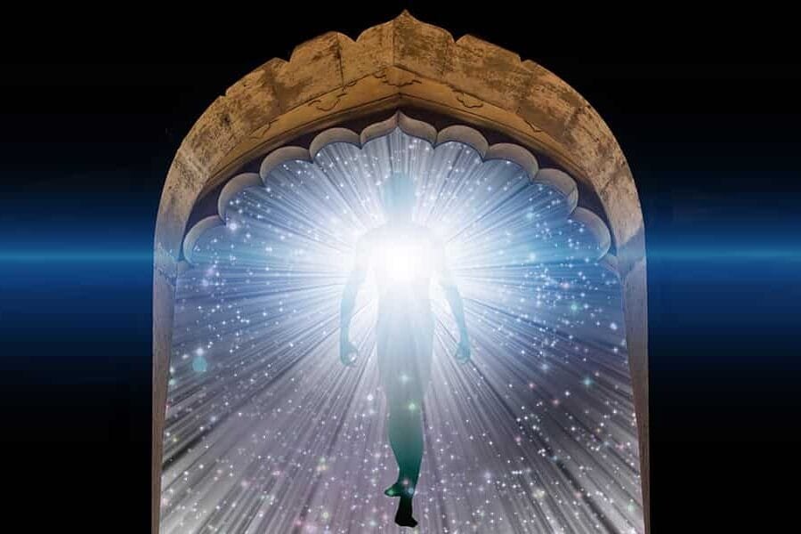 Immortality Unleashed