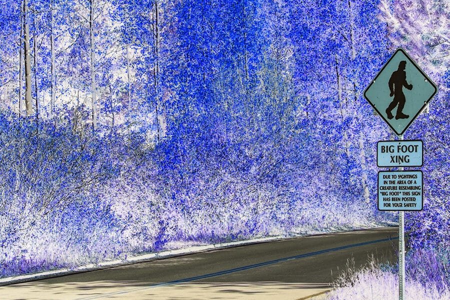 Living Near Sasquatch Living Near Sasquatch