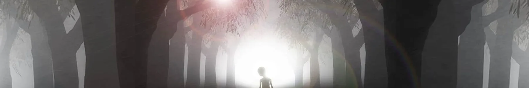 A Week to Remember: Close Encounters