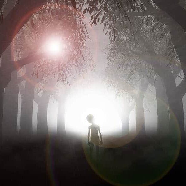 A Week to Remember: Close Encounters