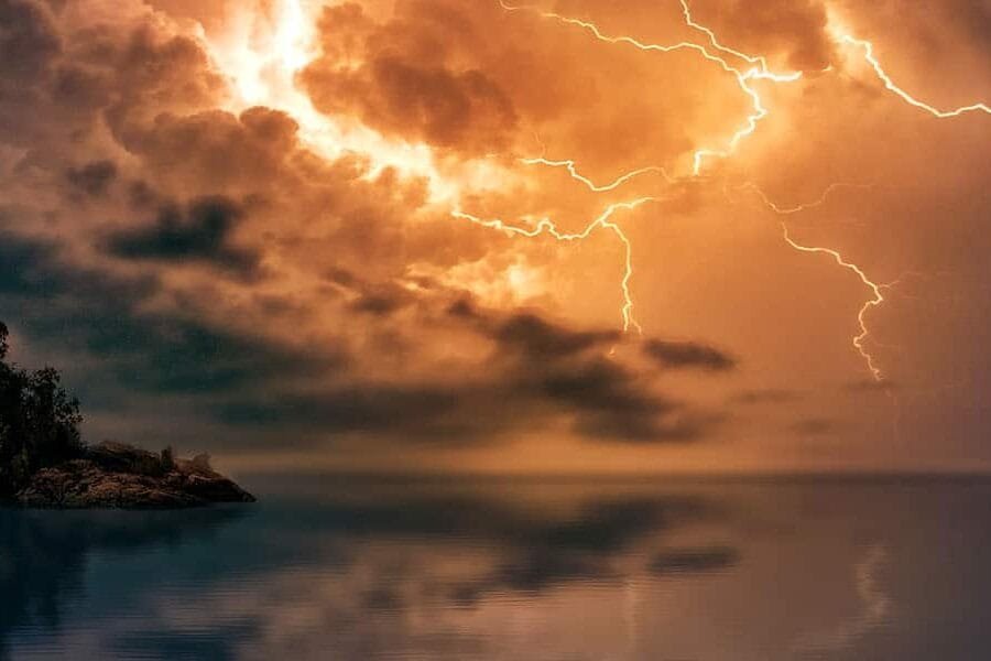 The Root of Fear The Root of Fear