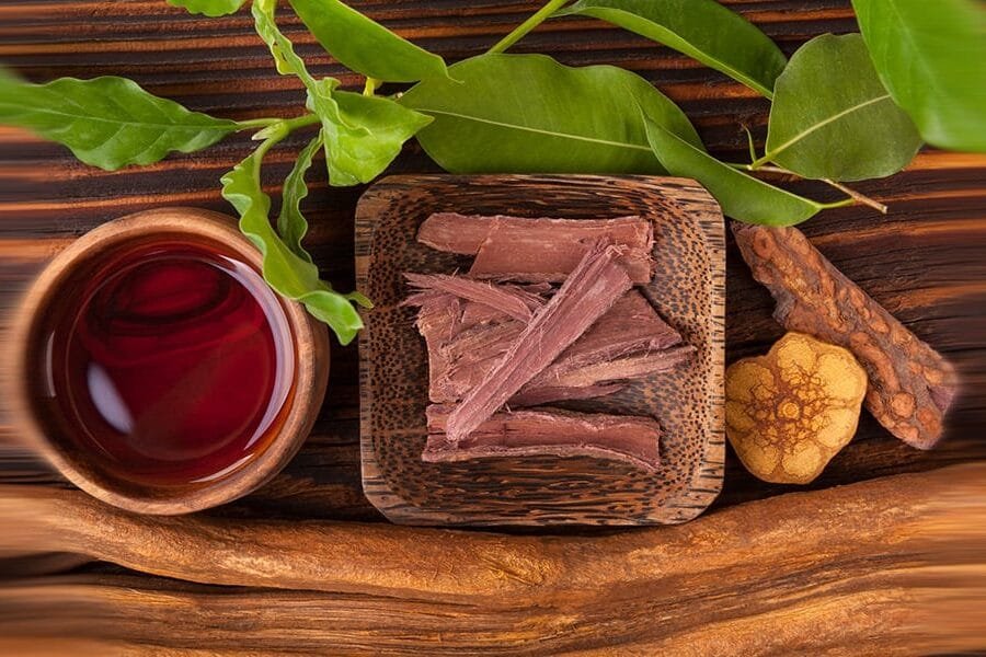 A Journey into my Soul: My Ayahuasca Experience