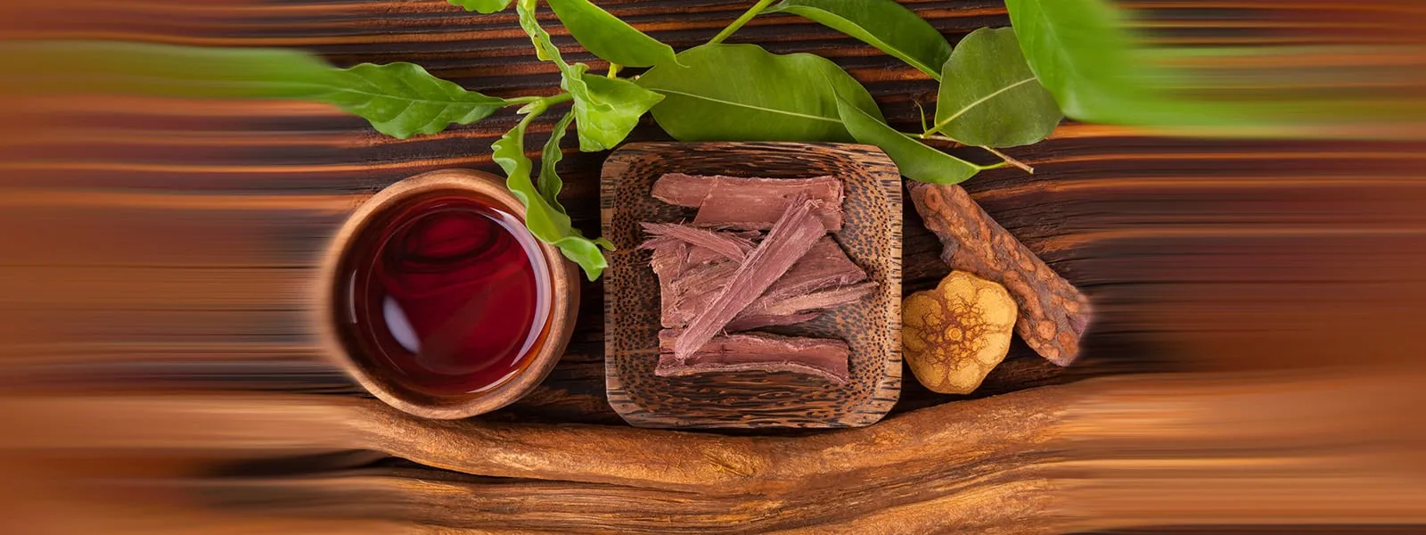 ayahuasca