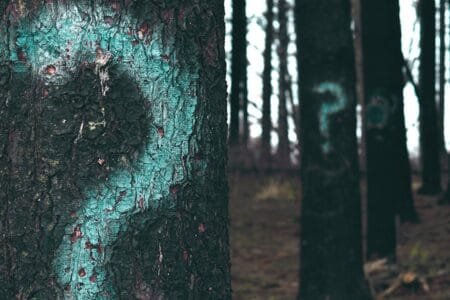 Our Best Interests Our Best Interests