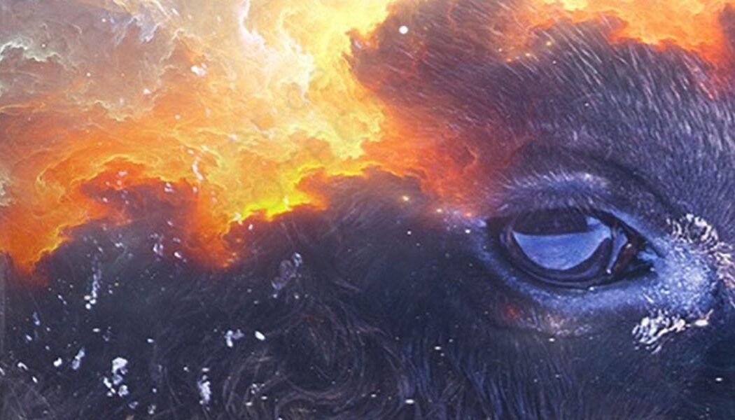 Spirit of White Buffalo